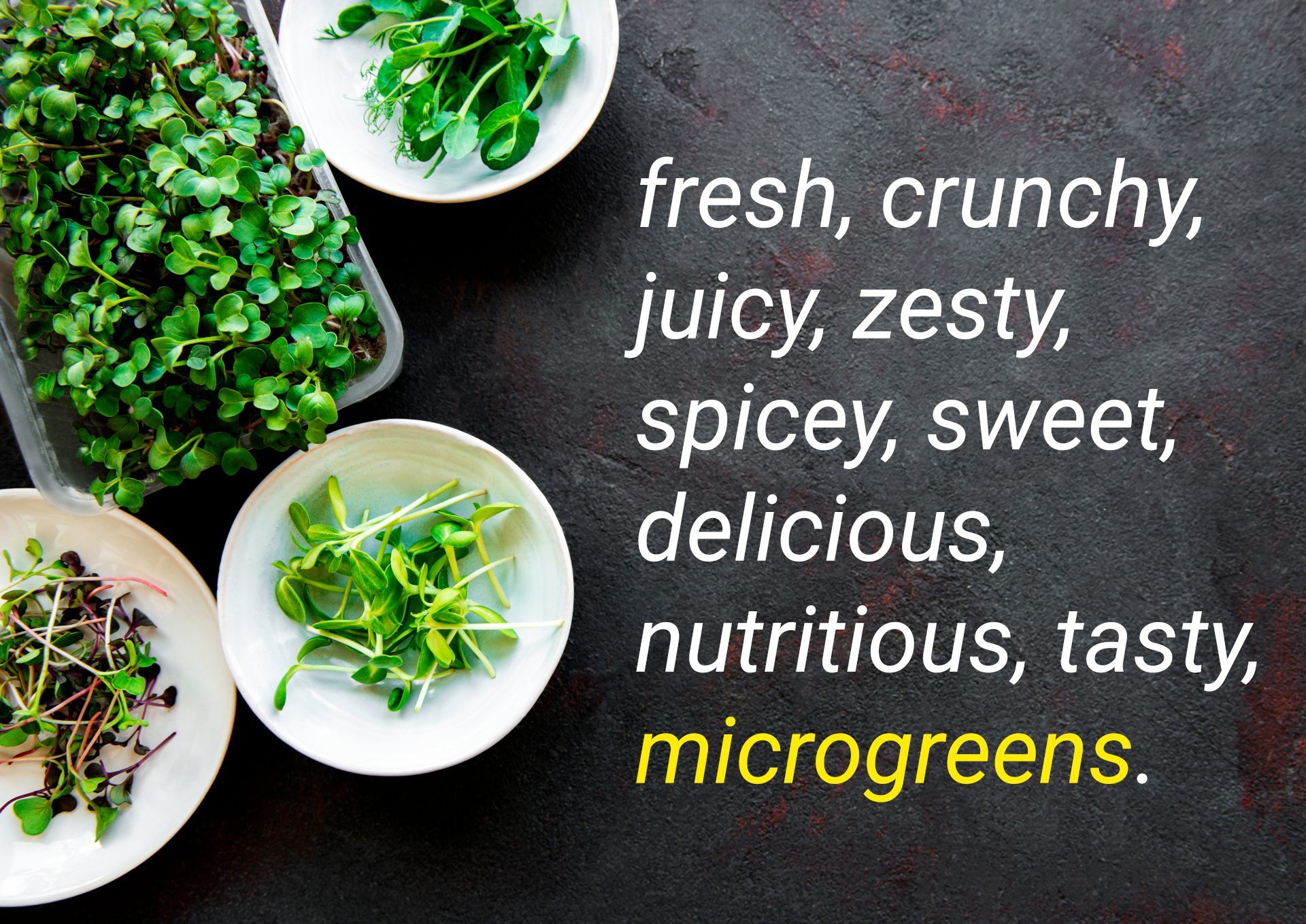 A leather looking table with 4 different bowls of microgreens - and the words fresh, crunchy, juicy, zesty, spicy, sweet, delicious, nutritious, tasty, microgreens written on it.
