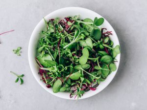A plan elevation view of a bowl of microgreens and salad.