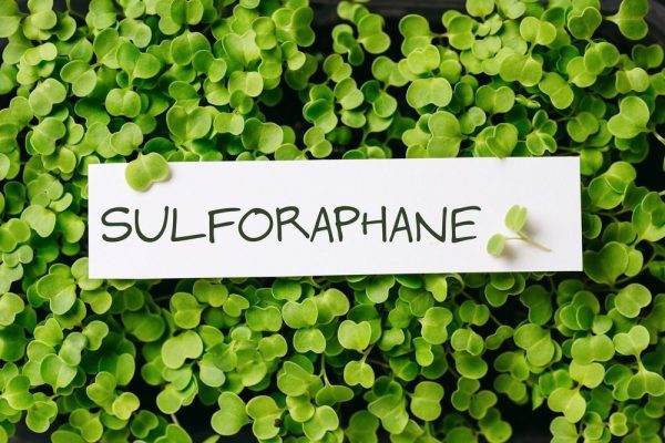 broccoli sulforaphane